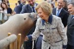 08-06-2023 Madrid Queen Sofia caresses a sea lion during her visit to the Zoo Aquiarium in Madrid.
The Queen Sofia Foundation and the Zoo Aquarium of Madrid join forces to raise awareness about marine biodiversity conservation. 

© PPE/ddp/abaca/europa press/Jose Ramon Hernando